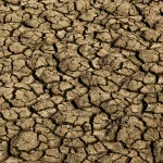 risco-de-desertificacao-no-brasil-ameaca-seguranca-hidrica-e-alimentar