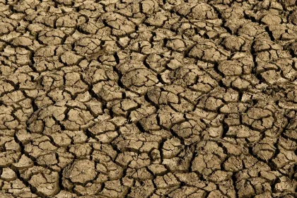 risco-de-desertificacao-no-brasil-ameaca-seguranca-hidrica-e-alimentar