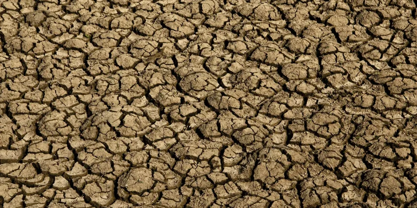risco-de-desertificacao-no-brasil-ameaca-seguranca-hidrica-e-alimentar