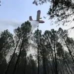 fogos-atingem-franca,-belgica-e-balcas-e-queimam-milhares-de-hectares