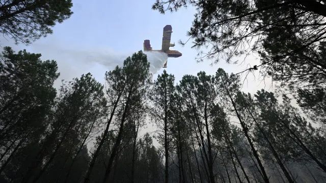 fogos-atingem-franca,-belgica-e-balcas-e-queimam-milhares-de-hectares