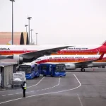 taag-transporta-dois-leoes-entre-a-africa-do-sul-e-nigeria