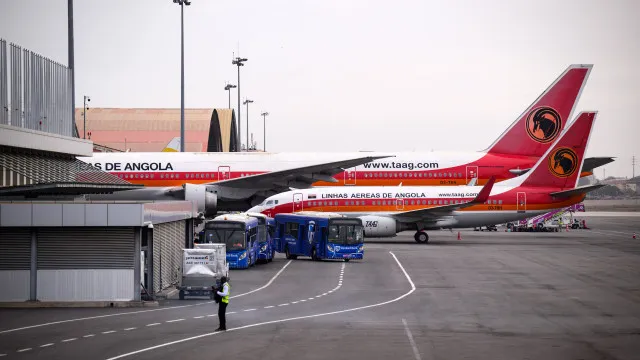 taag-transporta-dois-leoes-entre-a-africa-do-sul-e-nigeria