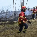 fogos-na-europa:-ue-envia-meios-para-belgica-e-espanha