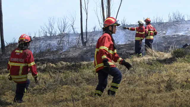 fogos-na-europa:-ue-envia-meios-para-belgica-e-espanha