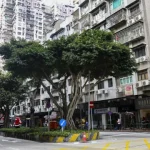 macau-pondera-incentivos-para-empresas-e-paises-que-emitam-divida-la