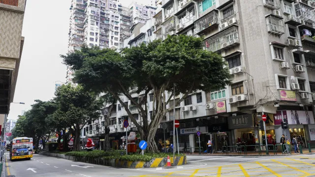 macau-pondera-incentivos-para-empresas-e-paises-que-emitam-divida-la
