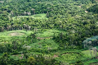amazonia:-indigenas-catalogam-especies-para-proteger-biodiversidade