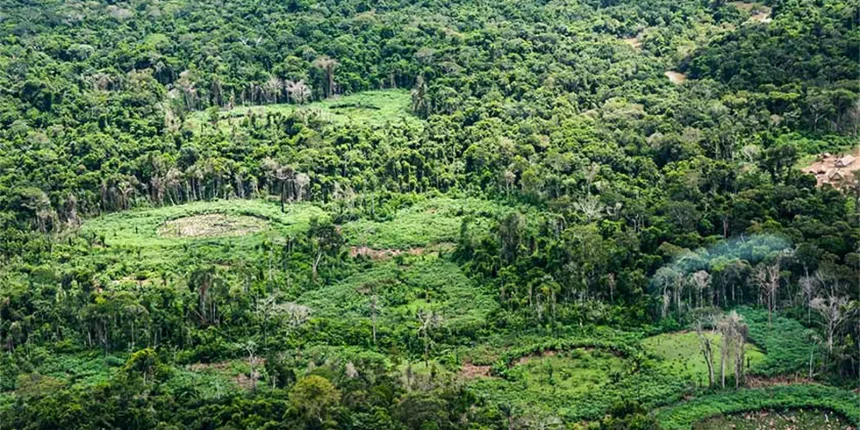 amazonia:-indigenas-catalogam-especies-para-proteger-biodiversidade