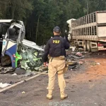ha-2-criancas-entre-os-23-mortos-apos-colisao-no-brasil:-tudo-o-que-sabe