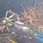 quem-sao-as-vitimas-mortais-da-queda-de-helicoptero-em-safari-no-quenia?