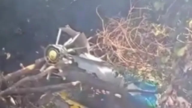 quem-sao-as-vitimas-mortais-da-queda-de-helicoptero-em-safari-no-quenia?
