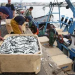 governo-define-condicoes-para-atribuicao-de-subsidio-a-pesca.-veja-aqui