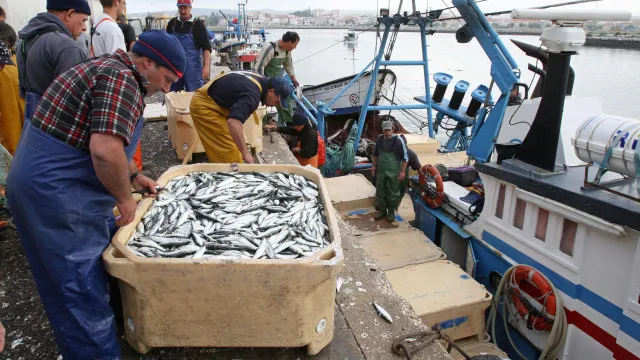 governo-define-condicoes-para-atribuicao-de-subsidio-a-pesca.-veja-aqui