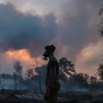 servia-pede-ajuda-a-ue-para-combater-dezenas-de-incendios-florestais