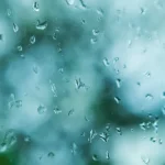 tempestade-no-baltico-causa-dois-mortos,-cortes-de-eletricidade-e-danos