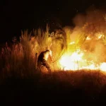 incendio-florestal-no-nevada-obriga-a-evacuacao-de-14.000-casas