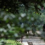 frio-perde-intensidade-no-sul-e-seca-persiste-no-centro-do-pais