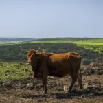 brasil-e-angola-celebram-acordo-para-desenvolvimento-do-agronegocio