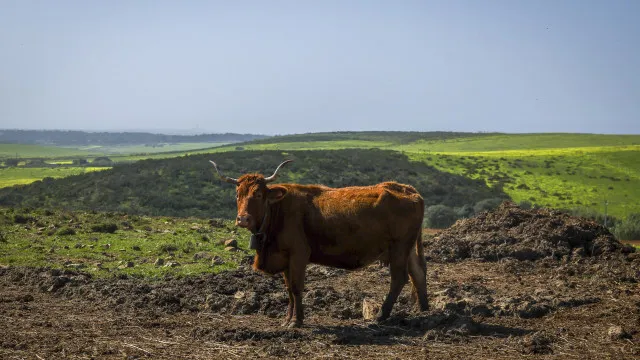 brasil-e-angola-celebram-acordo-para-desenvolvimento-do-agronegocio