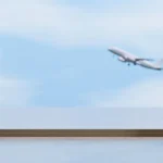 futuro-aeroporto?-“vamos-ver-o-que-nos-reserva-alcochete-em-2000-e…”
