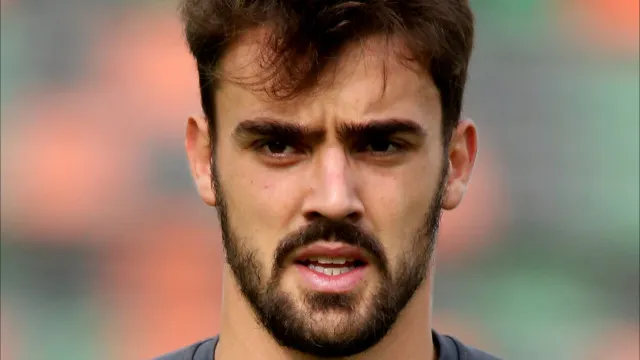 palmeiras-traz-goleiro-da-portuguesa-e-tiquinho-soares-volta-ao-botafogo
