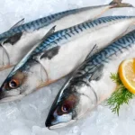 medidas-para-combater-excesso-de-pesca-de-cavala-pela-russia-em-vigor