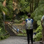 numero-de-dormidas-turisticas-baixa-ha-10-meses-consecutivos-nos-acores