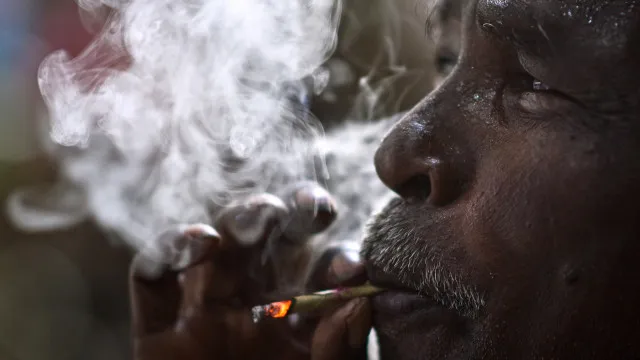 producao-de-tabaco-aumenta-em-africa-e-oms-deixa-alerta
