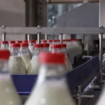 produtores-da-terceira-recebem-pelo-leite-“o-pior-preco-pago-na-europa”