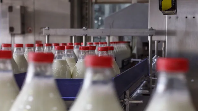 produtores-da-terceira-recebem-pelo-leite-“o-pior-preco-pago-na-europa”