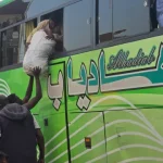 dezasseis-mortos-em-acidente-de-autocarro-no-egito