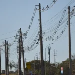 em-5-anos,-furto-de-fios-de-cobre-no-rio-deu-prejuizo-de-r$-69-milhoes