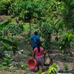 da-amazonia-ao-chaco,-america-latina-tem-desafios-com-clima-e-terra