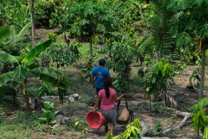 da-amazonia-ao-chaco,-america-latina-tem-desafios-com-clima-e-terra