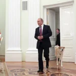 terminou-reuniao-de-putin-com-enviados-de-trump-para-discutir-fim-da-guerra