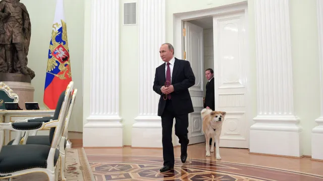 terminou-reuniao-de-putin-com-enviados-de-trump-para-discutir-fim-da-guerra