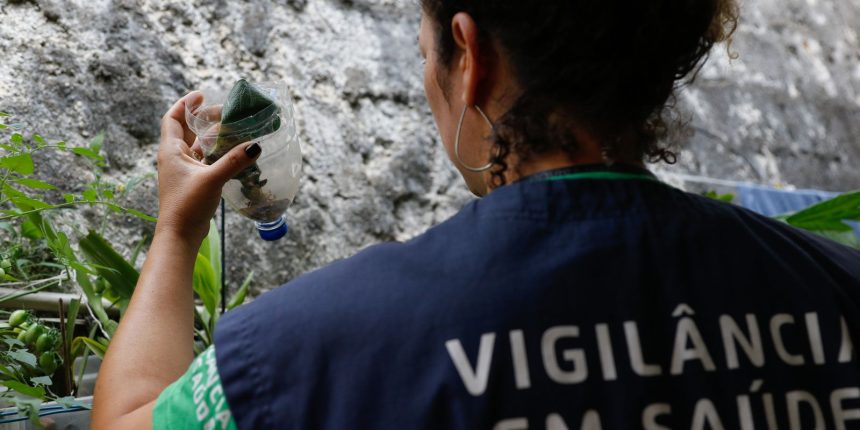 sao-paulo-tem-mais-de-58-mil-casos-de-dengue-desde-o-inicio-do-ano
