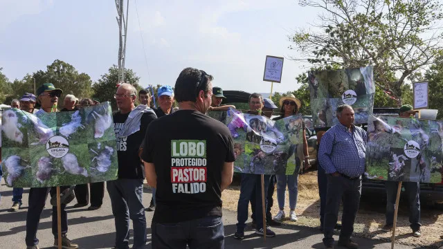 pastores-reclamam-pagamentos-atempados-face-a-ataques-de-lobos
