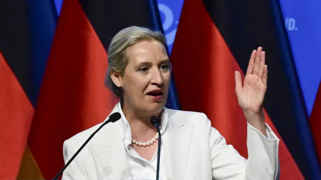 lider-da-afd-exige-legislativas-a-merz-para-o-substituir-“antes-do-natal”