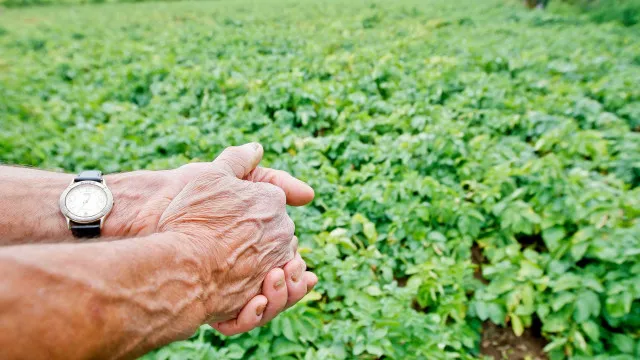 ue-quer-promover-investigacao-e-inovacao-no-setor-agricola