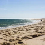 temperatura-do-verao-nos-eua-foi-a-mais-alta-desde-que-ha-registos