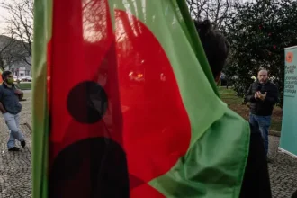 livre-quer-passe-de-mobilidade-nacional,-reforcar-abono-e-rede-de-lares