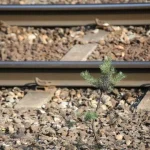 ataque-“sistematico”-em-curso-na-rede-ferroviaria-ucraniana