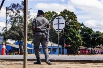 dois-supostos-terroristas-abatidos-em-macomia