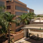 anvisa-alerta-risco-de-deficiencia-de-b6-com-uso-de-carbidopa/levodopa