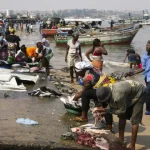 angola-tem-220-locais-de-desembarque-de-pescado.-mais-de-metade-informais
