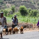 djibuti-e-onu-pedem-ajuda-internacional-para-ajudar-refugiados-iemenitas