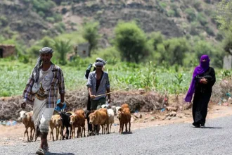djibuti-e-onu-pedem-ajuda-internacional-para-ajudar-refugiados-iemenitas