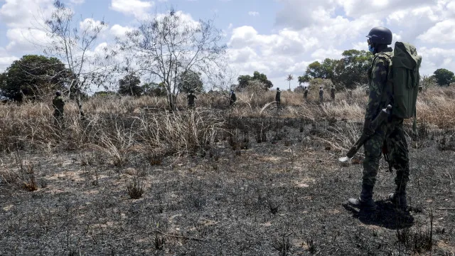 supostos-terroristas-queimam-campos-agricolas-em-cabo-delgado